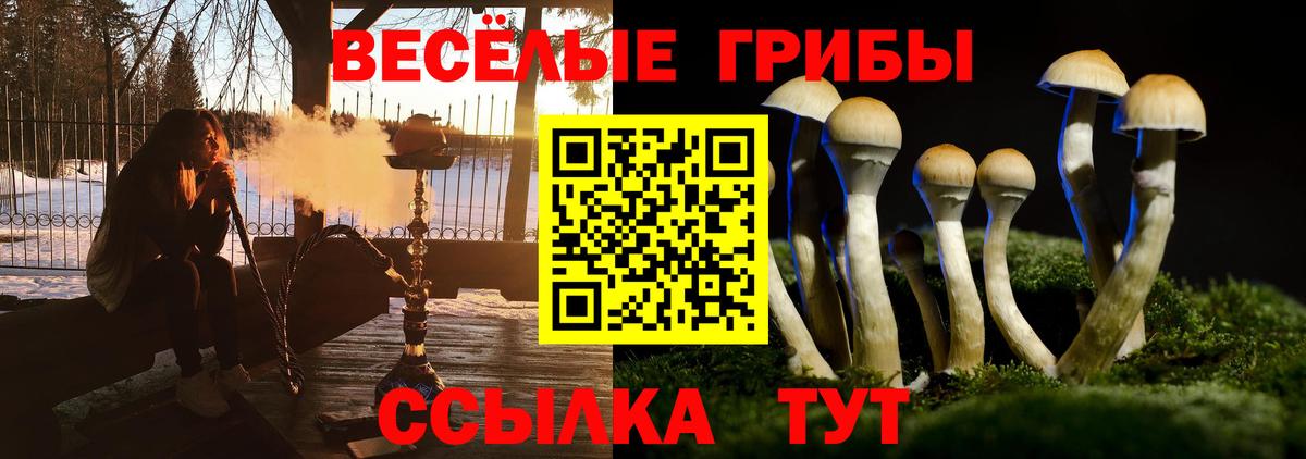 Псилоцибиновые грибы MAGIC MUSHROOMS  Вход с VPN  Кириши 