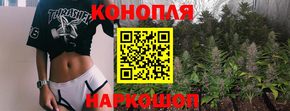 Кириши  Бошки марихуана Ganja  Каннабис планчик  Вход с VPN  Конопля планчик 
